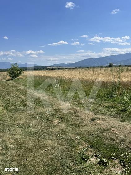 Teren 720 mp Sevis | 23 m front | Oportunitate investitie 24.480 - 3