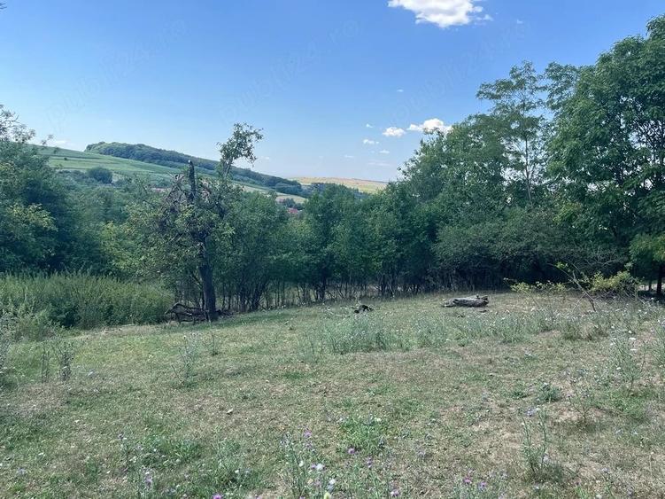 Teren de 2774 mp, în Silivașu de Câmpie