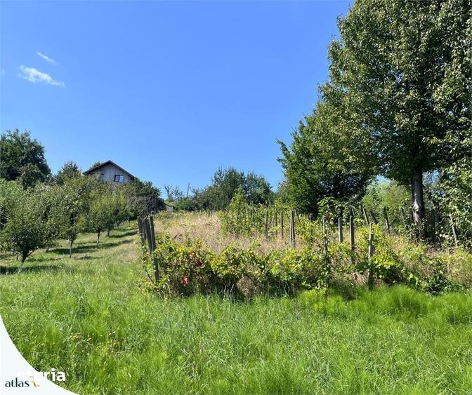 Casă cu 2 camere cu Teren 1248 Mp în Bârnova