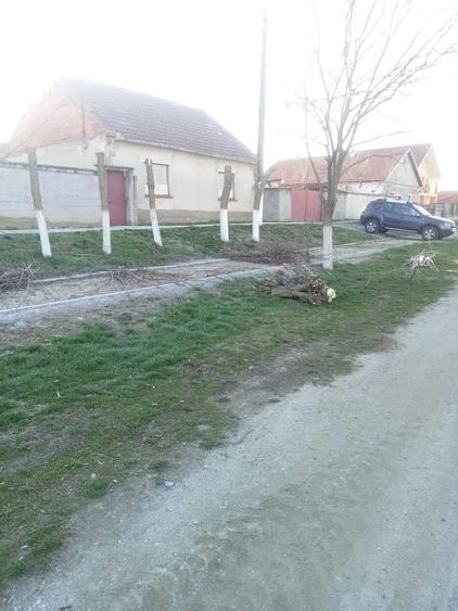 Casă cu 4 camere în Șimand
