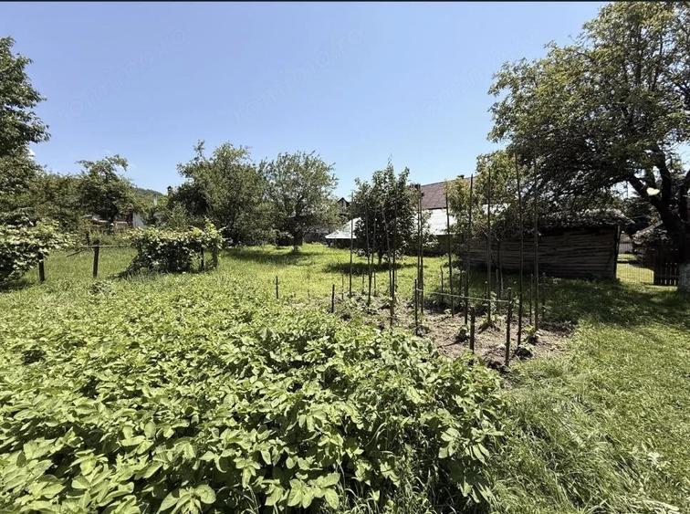 Casă cu 5 camere cu Teren 2146 Mp în Lerești