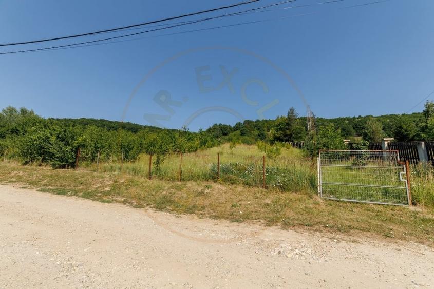 Teren Construcții intravilan de 1750 mp, în Ștefănești