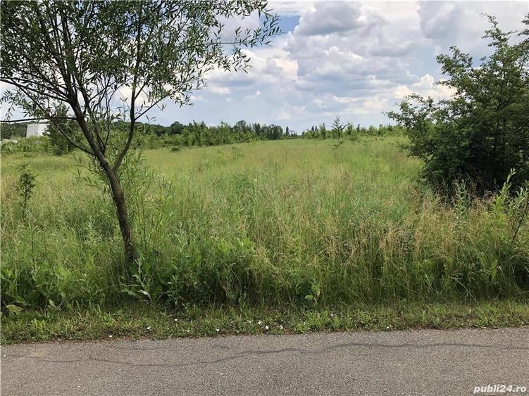 Teren de 1550 mp, în Potigrafu