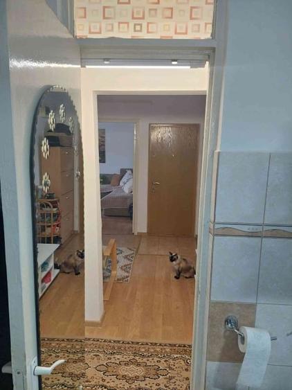 Apartament cu 2 camere decomandat, mobilat în E3