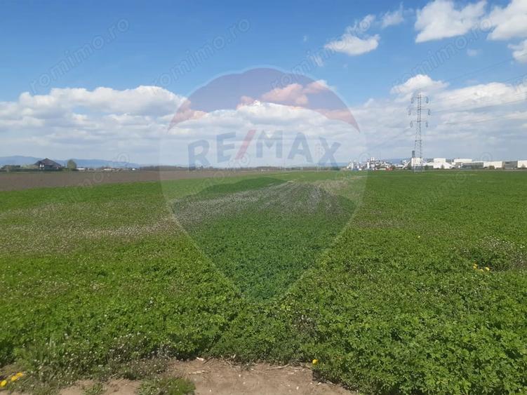 Teren de 5460 mp, în Stupini