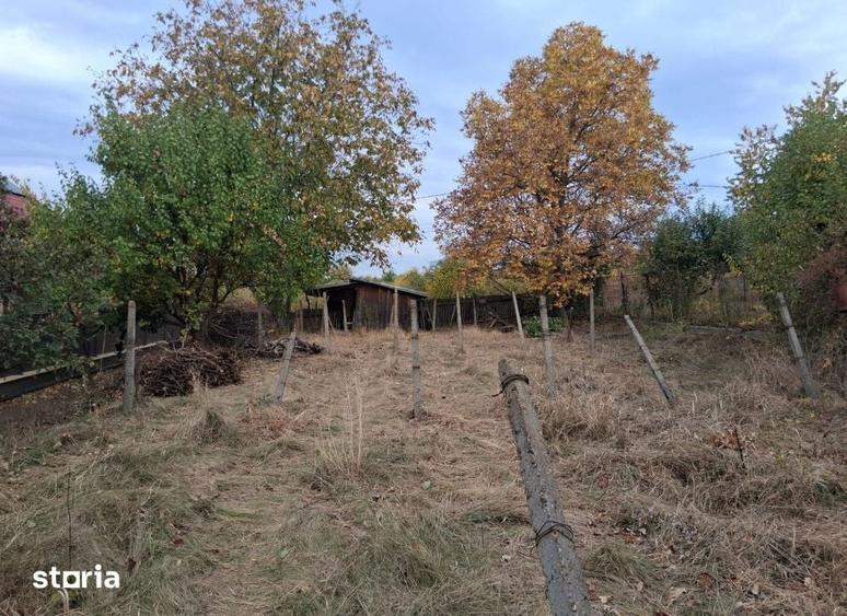 Teren de 1000 mp, în Bucium