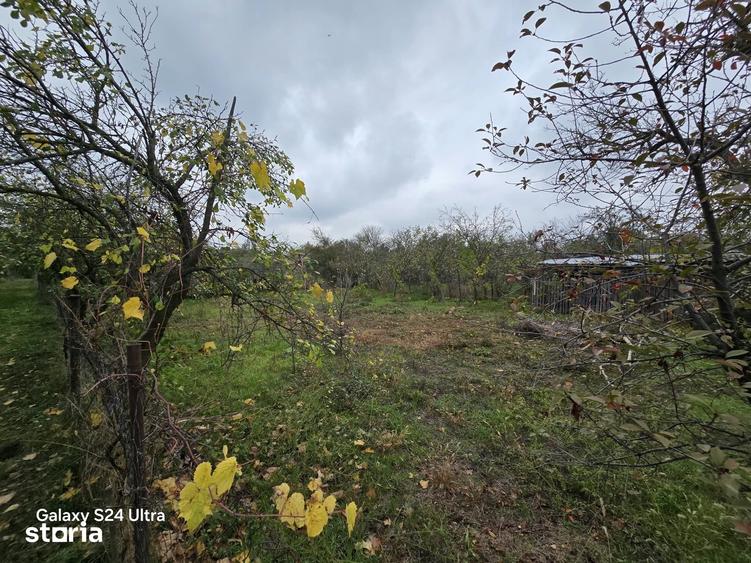 Casă cu 5 camere cu Teren 3000 Mp în Trivalea-Moșteni