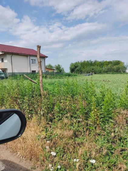 Teren în Cazasu