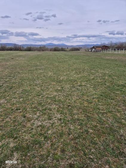 Teren de 1777 mp, în Budacu de Jos