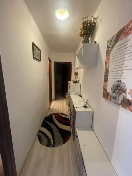 Apartament cu 3 camere semidecomandat, mobilat în Valea Rosie