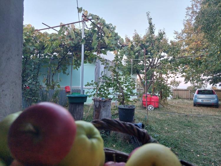 Casă individuală cu 2 camere cu Teren 2370 Mp în Bahna