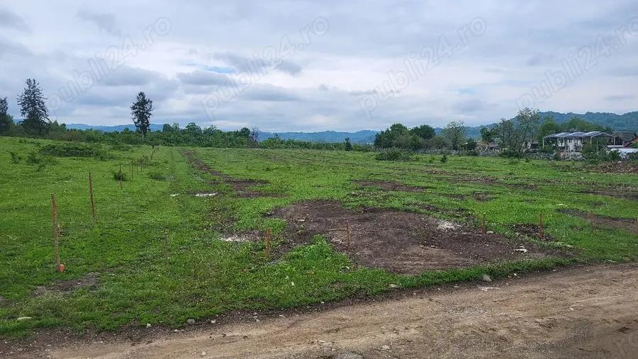 Teren de 7500 mp, în Voila