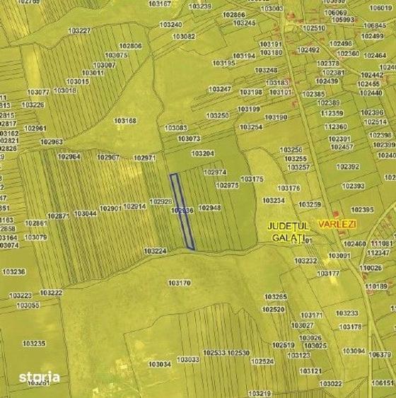 Teren de 6000 mp, în Vârlezi