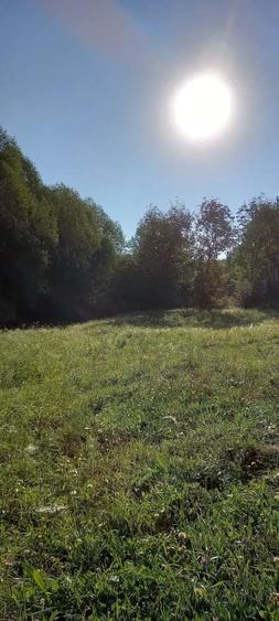 Teren de 1530 mp, în Central