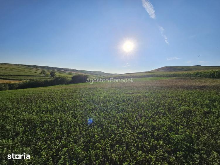 Casă cu 4 camere cu Teren 33000 Mp în Valea