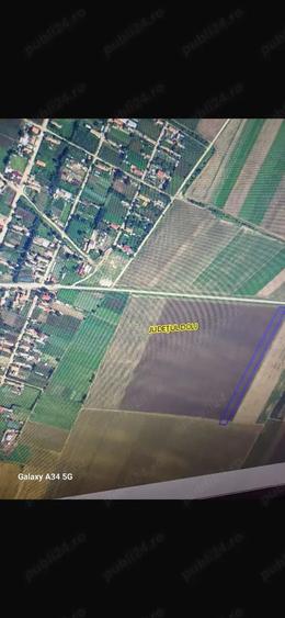 Teren de 10000 mp, în Central