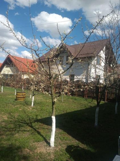 Casă cu 3 camere în Central