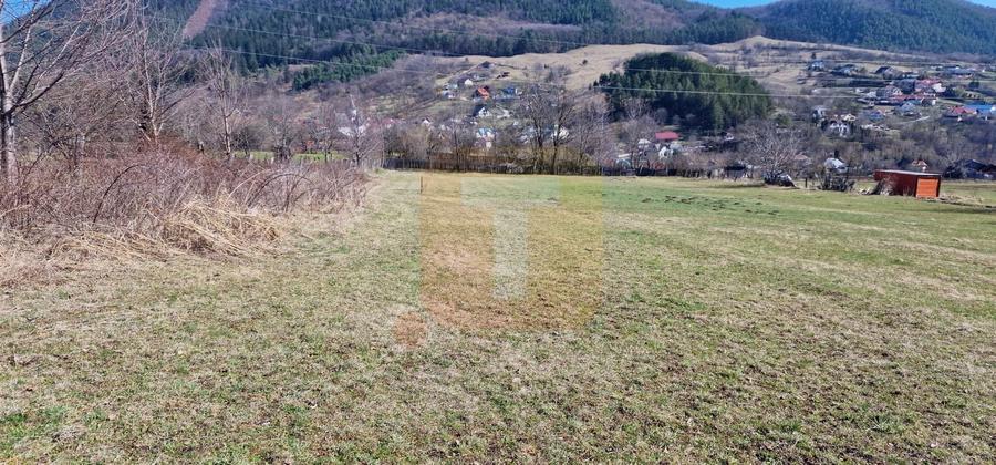 Teren Construcții intravilan de 4000 mp, în Alexandru cel Bun