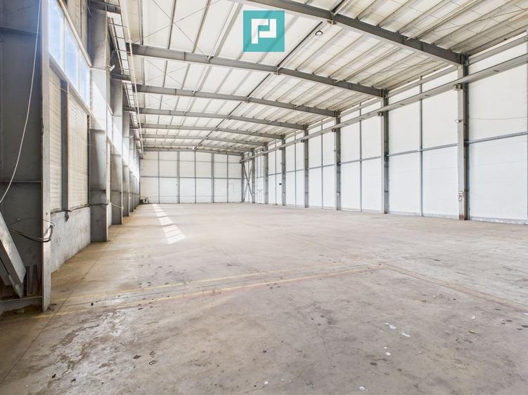 Spațiu industrial, de 1,087 mp, în Aradul Nou