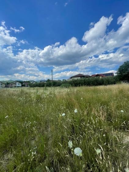 Teren Construcții intravilan de 1456 mp, în Tăuții-Măgherăuș