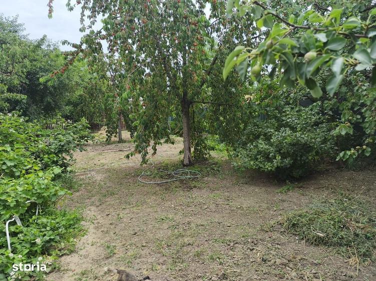Casă cu 3 camere cu Teren 540 Mp în Bujac