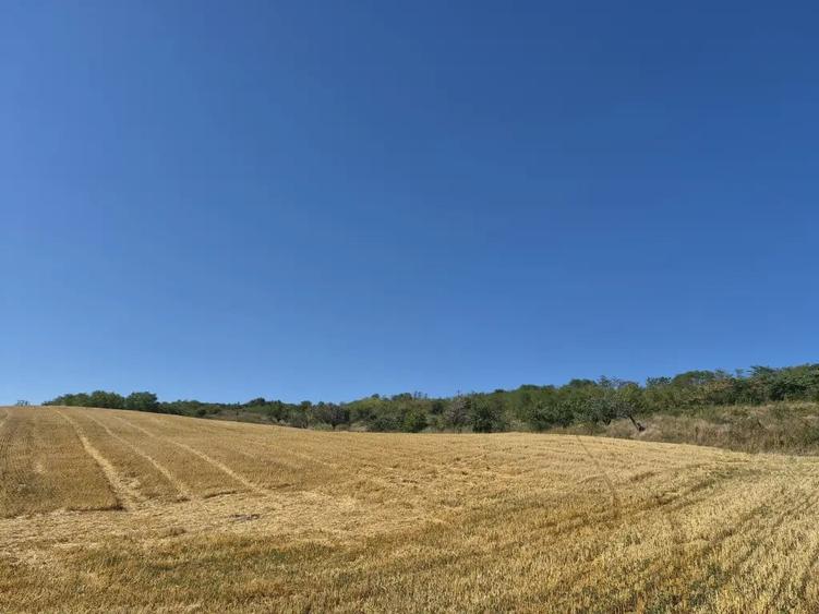 Teren de 15000 mp, în Răducăneni