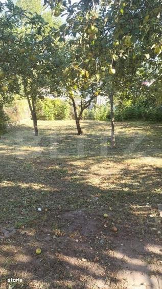 Casă cu 4 camere în Bartolomeu