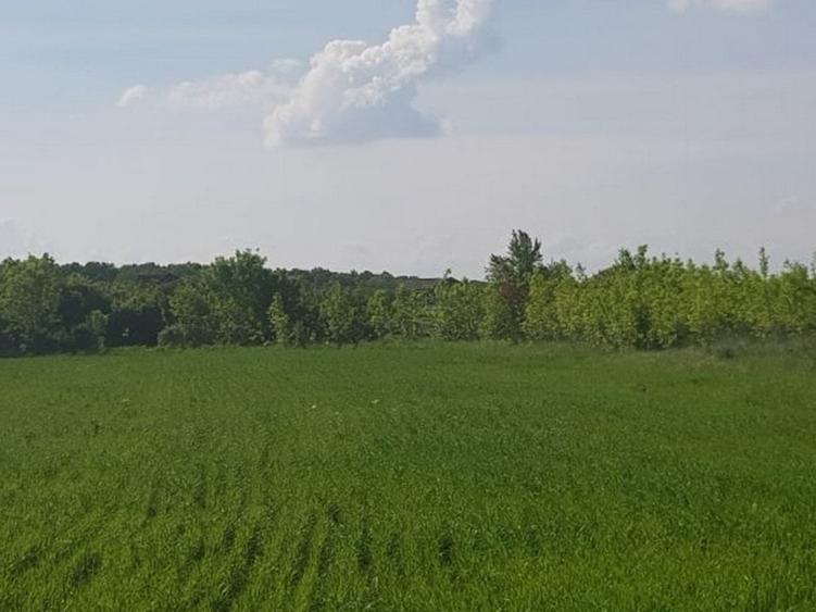 Teren Construcții intravilan de 3000 mp, în Ciolpani