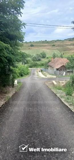 Casă cu Teren 7000 Mp în Cămărașu