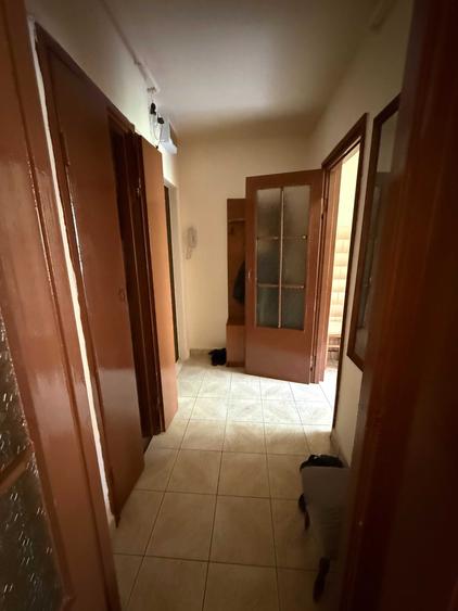Apartament cu 2 camere semidecomandat în Săsar