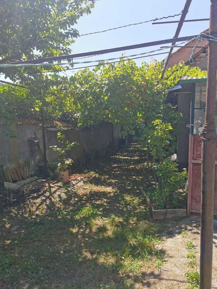 Casă cu 3 camere în Central