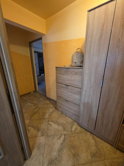 Apartament cu 2 camere decomandat în Luncă