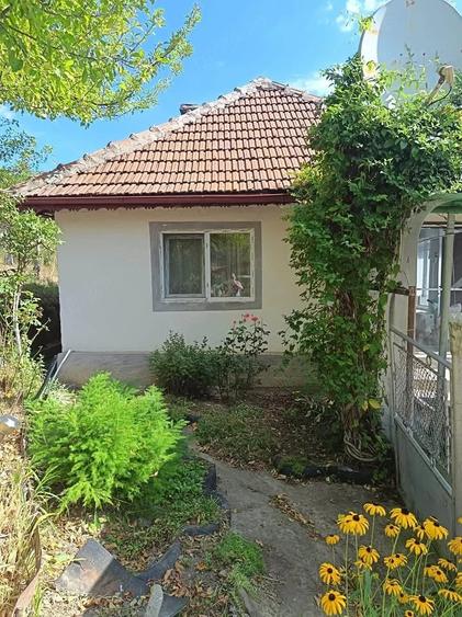 Casă cu 2 camere cu Teren 10000 Mp în Central