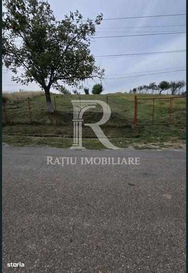Spațiu comercial, în Cordău