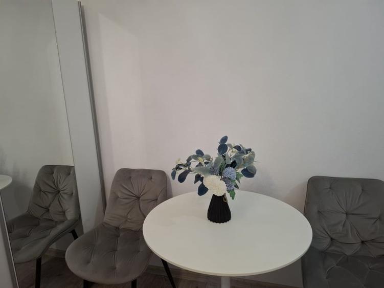 Direct proprietar | Garsonieră elegantă și cochetă, etaj 2, Micălaca - Zona 300 - 6