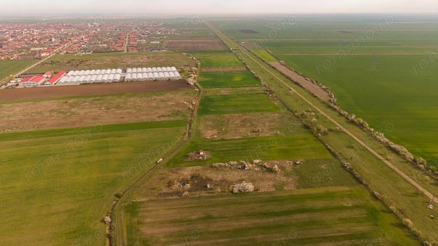 Teren de 6150 mp, în Sânleani
