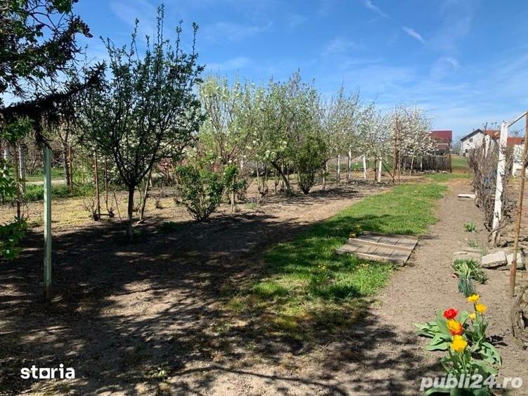 Casă cu 3 camere cu Teren 3500 Mp în Cenei