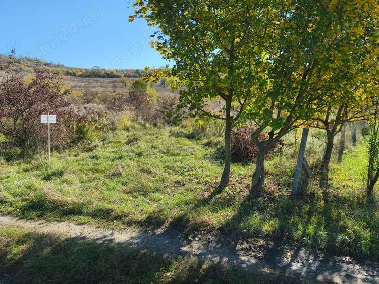Teren de 1598 mp, în Tudor