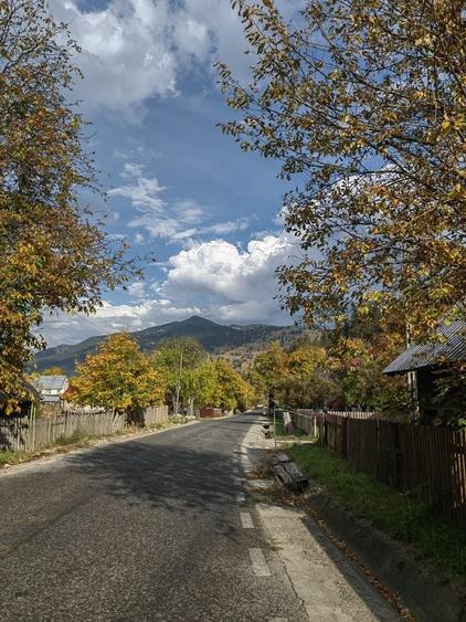 Casă cu 4 camere în Borca