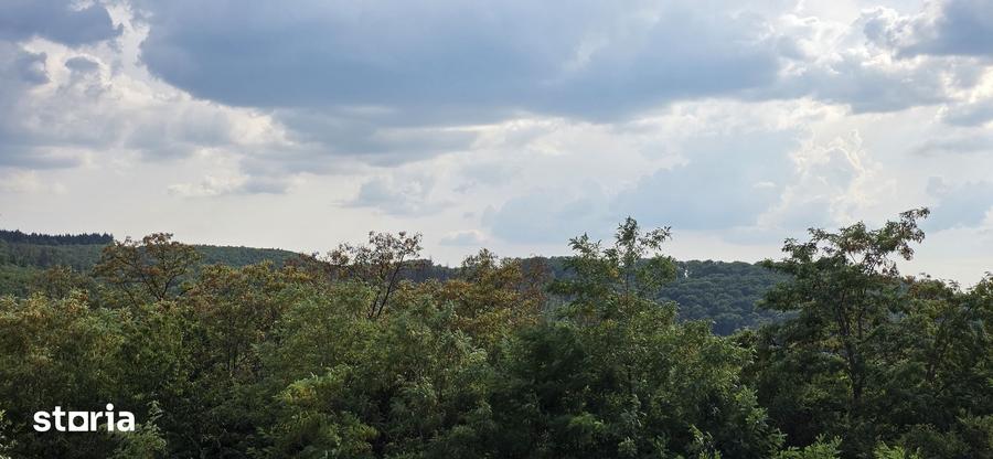 Teren de 9528 mp, în Vârciorog