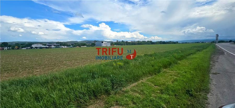 Teren Construcții intravilan de 90000 mp, în Periferie