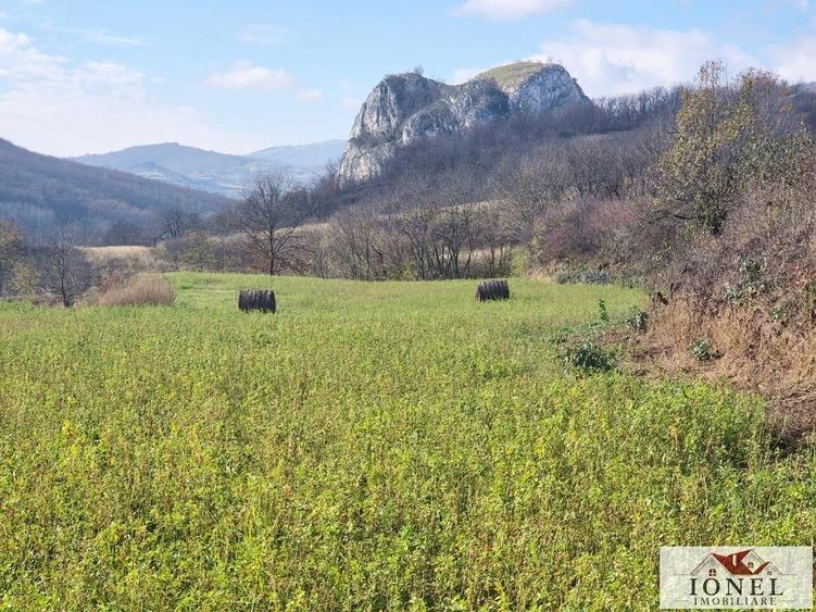 Teren Construcții intravilan de 1700 mp, în Ampoița