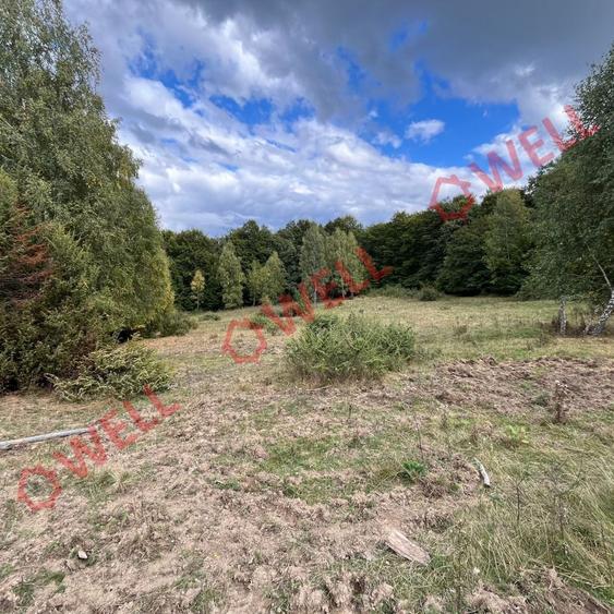 Teren agricol extravilan de 5.5 mp, în Cernat