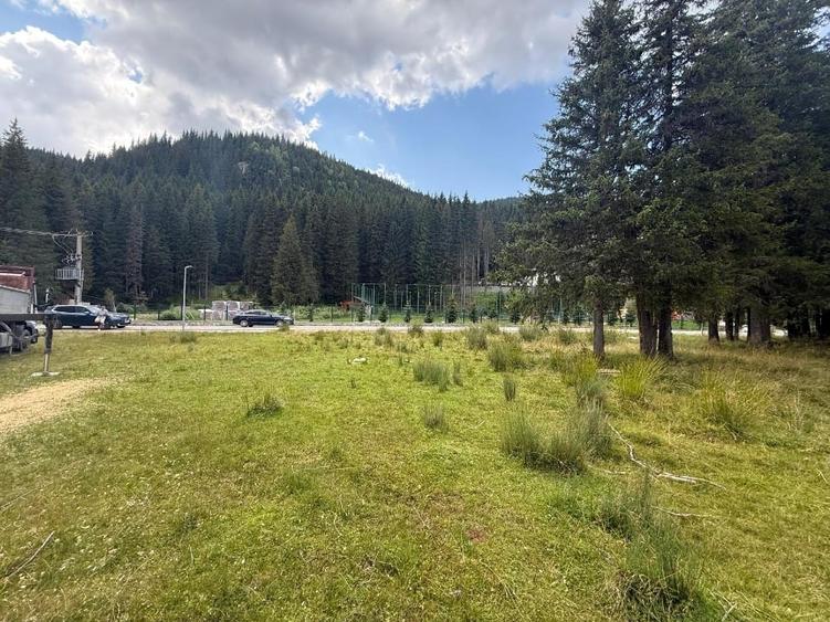 Teren Construcții intravilan de 5000 mp, în Moroeni