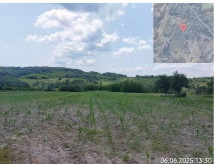 Teren de 6015 mp, în Bustuchin
