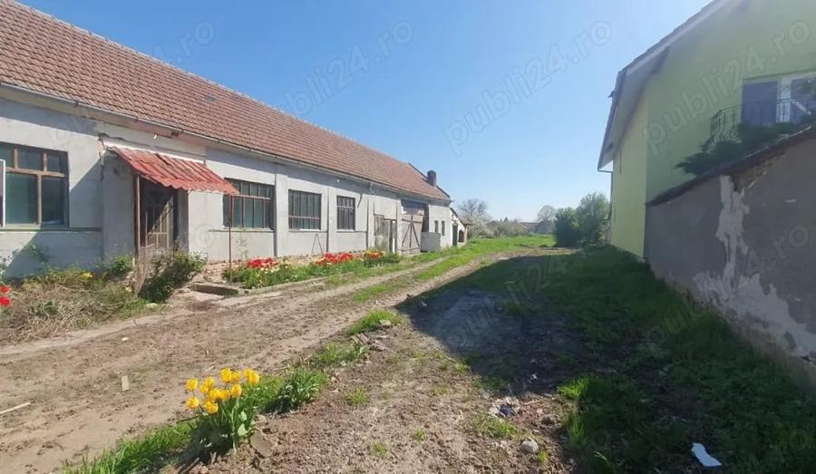 Casă cu 5 camere cu Teren 2259 Mp în Zădăreni