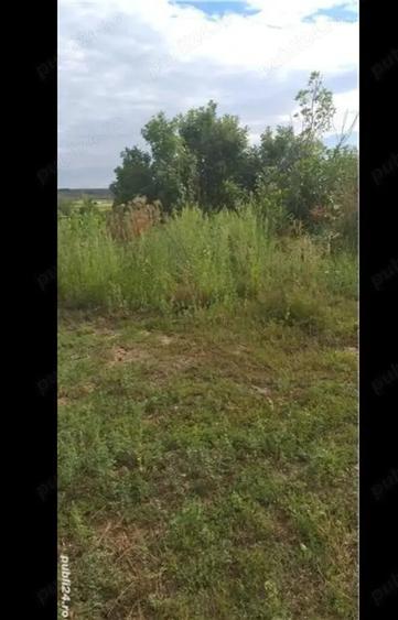 Teren de 3750 mp, în Husasău de Tinca