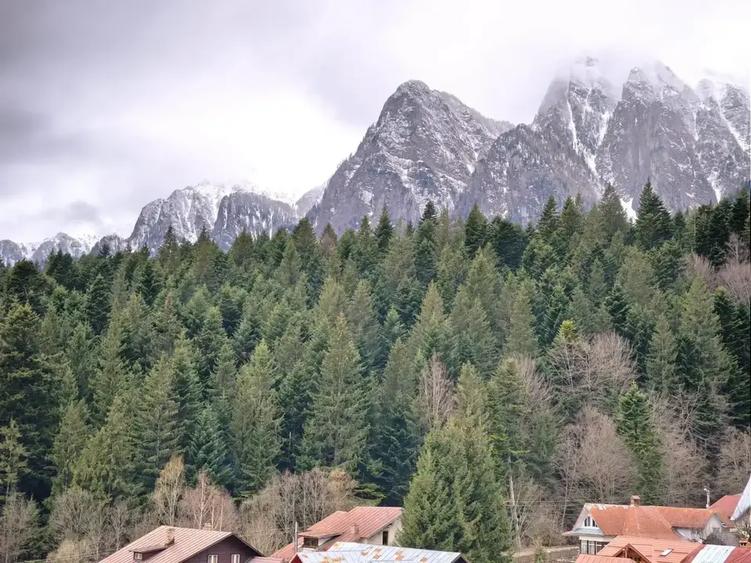 Apartament cu 3 camere decomandat în Valea Alba