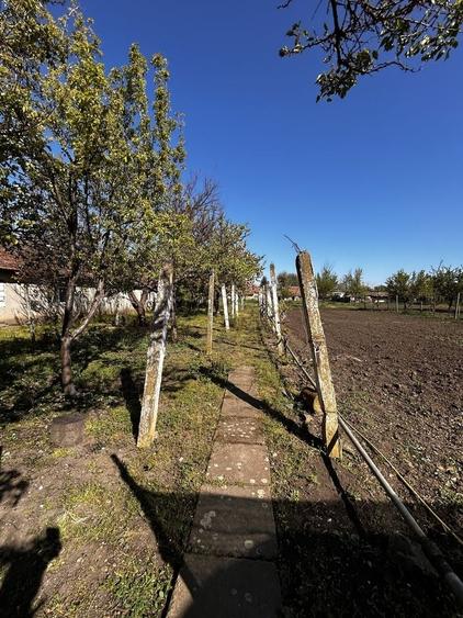 Casă cu 4 camere în Iratoșu