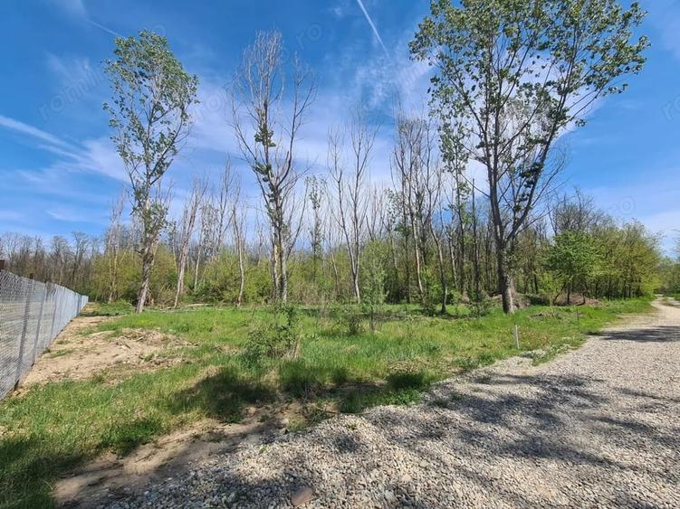 Teren de 5300 mp, în Agrement Ostroveni